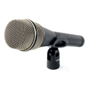 Electro-Voice PL80A - Premium Dynamic Vocal Microphone