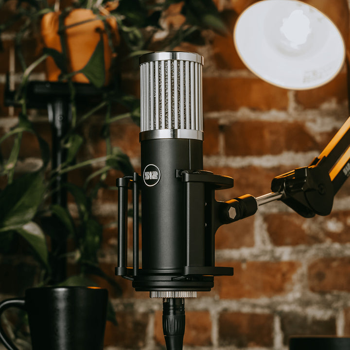 512 Audio SKYLIGHT Large Diaphragm Studio Condenser XLR Microphone