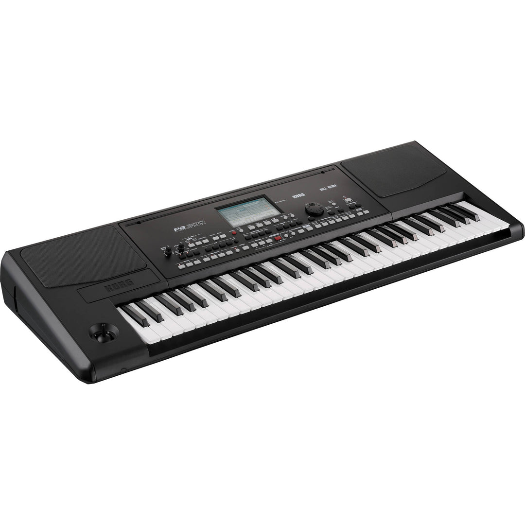 Korg PA300 61-Key Arranger Keyboard - Black