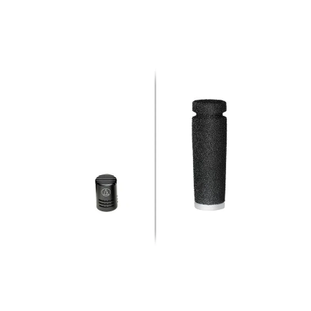 Audio-Technica ESE-CA