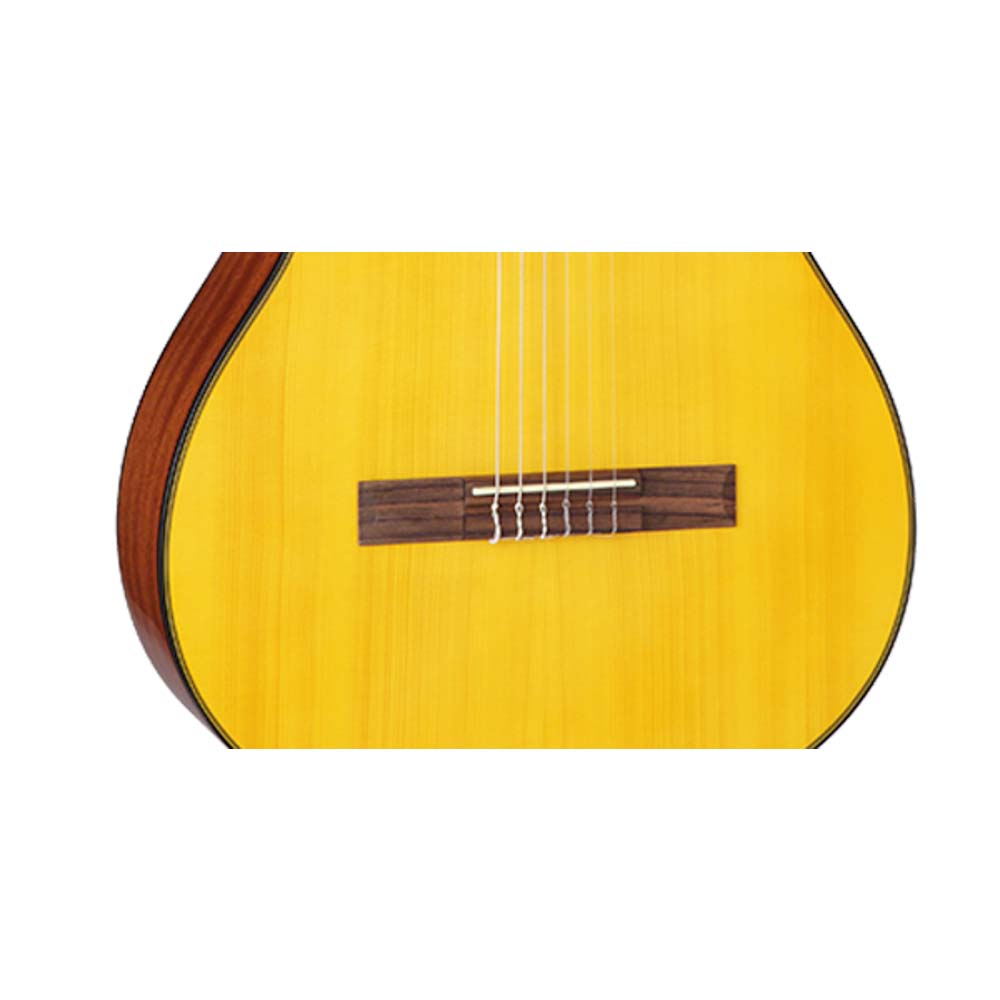 Takamine GC3CE-NAT