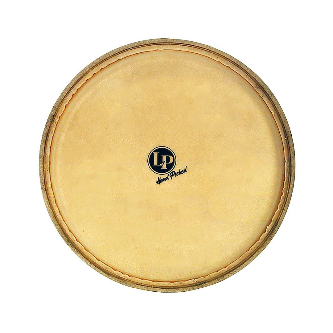 LP LPL264A - Dandy Hembra Head 9”