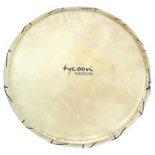 Tycoon TJ-RH120 - Djembe Head 12 Tuneable Goatsk