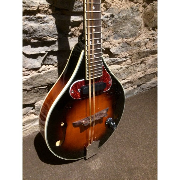 Beaver Creek BCMM201E - Mandolin Electric