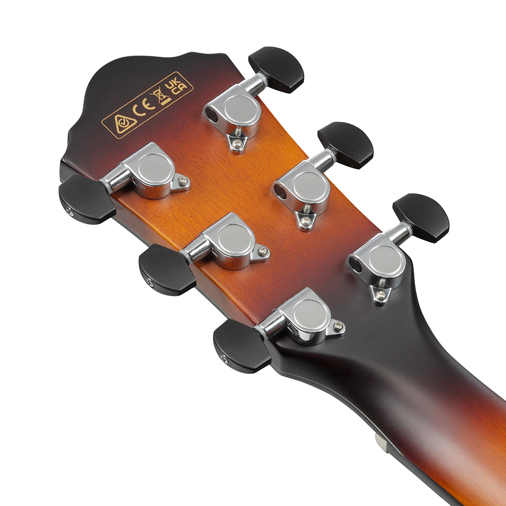 Ibanez Acoustic-Electric (Amber Sunburst) AEWC400