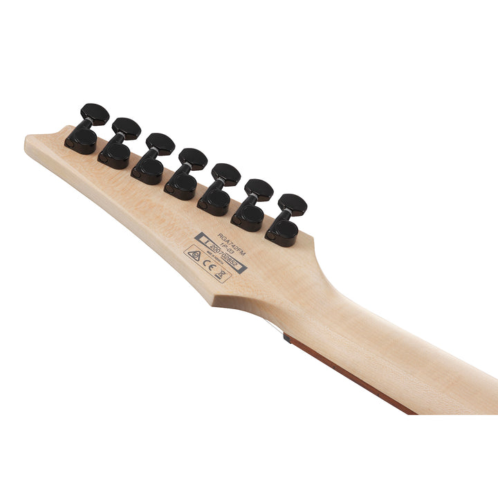 Ibanez RGA Standard (Transparent Gray Flat) RGA742FMTGF