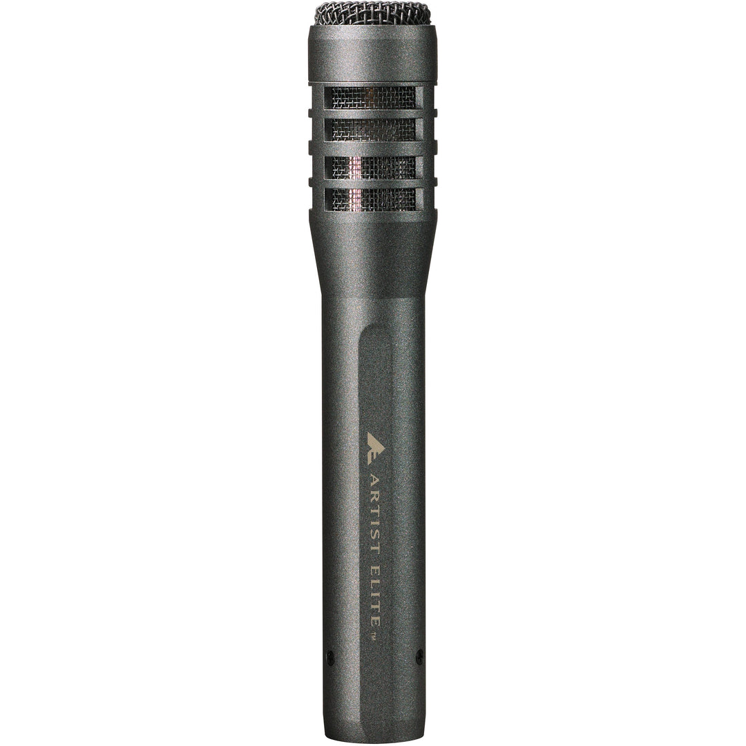 Audio-Technica AE5100 Large-Diaphragm End-Address Cardioid Condenser Instrument Microphone