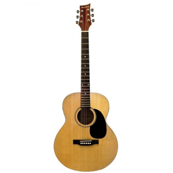Beaver Creek BCTF101 - Folk Acoustic Guitar Natural