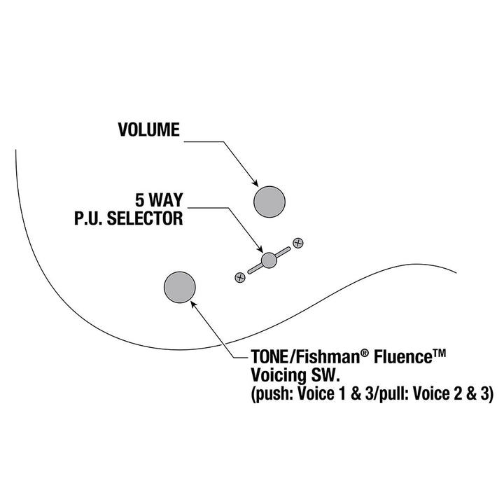 Ibanez Tim Henson Signature (Silver) TOD10