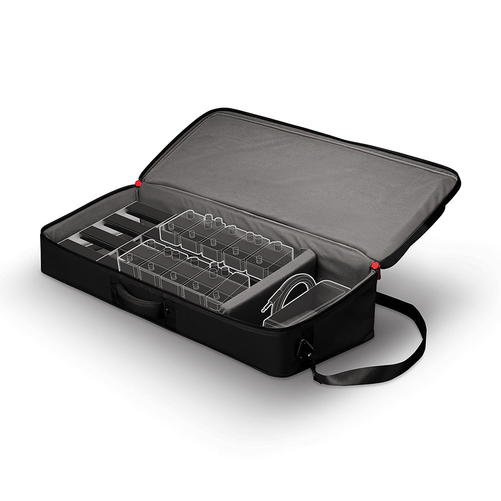 D'Addario BACKLINE PB TRANSPORT PACK 2