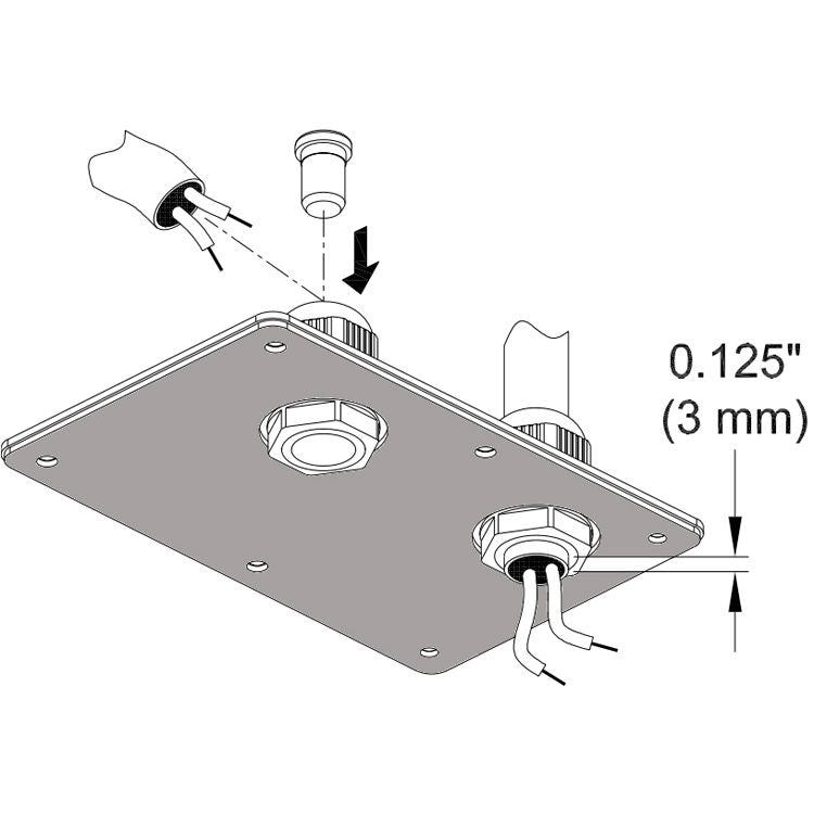 Electro-Voice CDG - Dual Gland Nut Cover Plate
