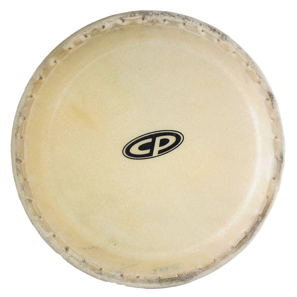 CP　Series　Conga　Drum　12”　Rawhide　City　Head　Canada　–　Music　LP　CP265C