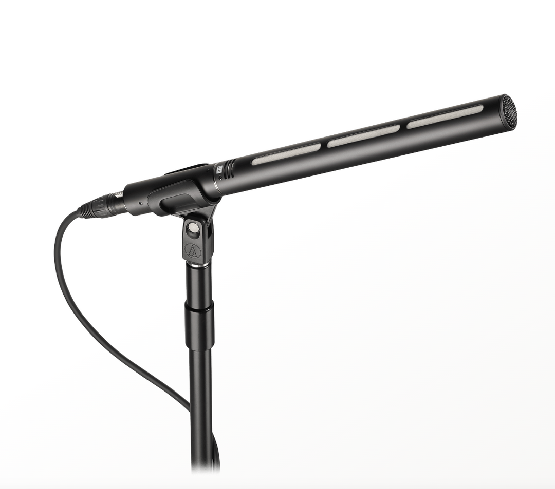Audio-Technica BP28 Line + Gradient Large-Diaphragm Condenser Microphone