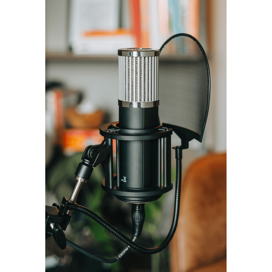 512 Audio SKYLIGHT Large Diaphragm Studio Condenser XLR Microphone