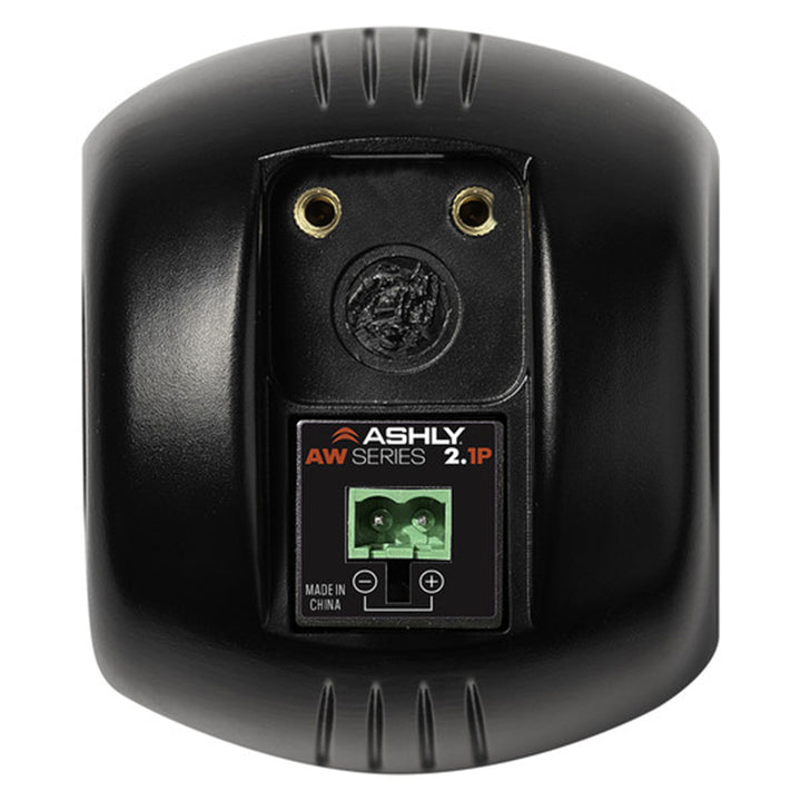 Ashly 2.5" Passive Full Range All Weather Speaker (Pair)