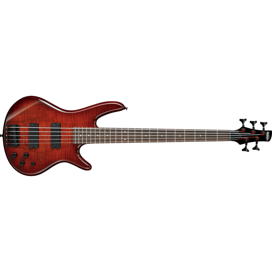 Ibanez Gio SR 5-String Electric Bass (Charcoal Brown Burst) GSR205SMCNB
