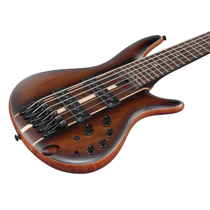 Ibanez SR Premium 6-String Electric Bass (Dual Mocha Burst Flat) SR1356BDUF