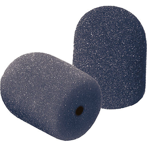 Earthworks OMW2 - 100 MPH Windscreen for QTC, TC & M Microphones