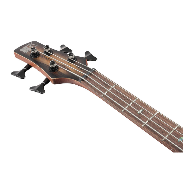 Ibanez SR Standard 4-String Electric Bass (Antique Brown Stained Burst) SR600EAST