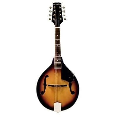 Beaver Creek BCMM201E - Mandolin Electric