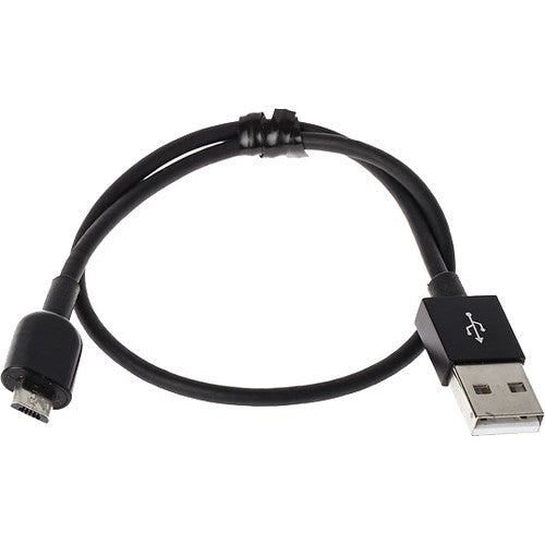 DPA Microphones d:vice USB-B to PC/Mac USB-A Cable for d:vice Digital Audio Interface - 12”