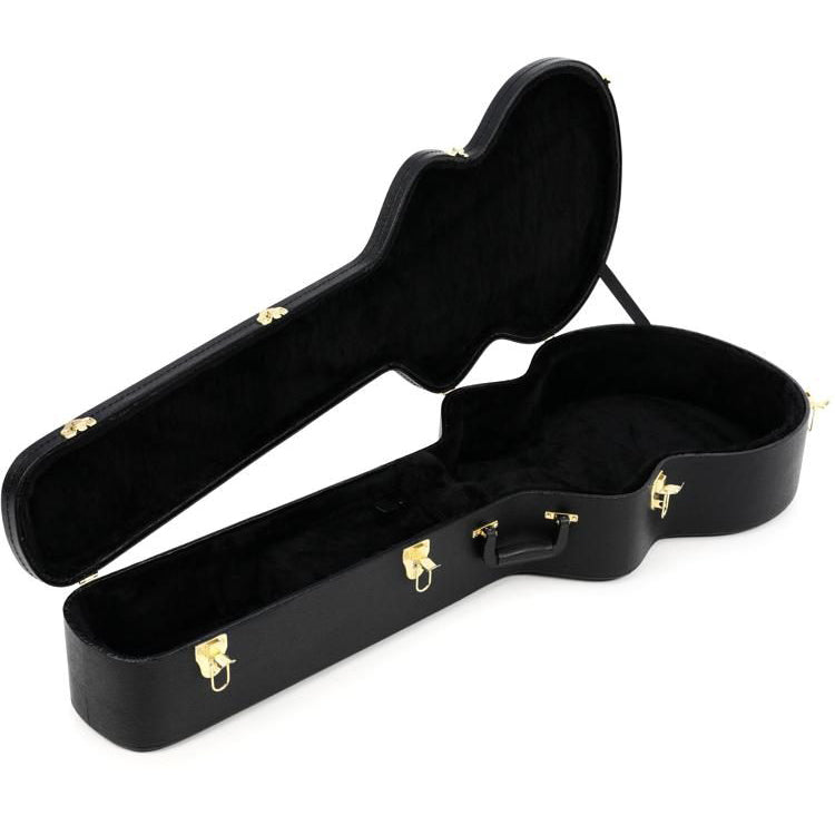 Ibanez AEB50C Acoustic Guitar Case for AEB