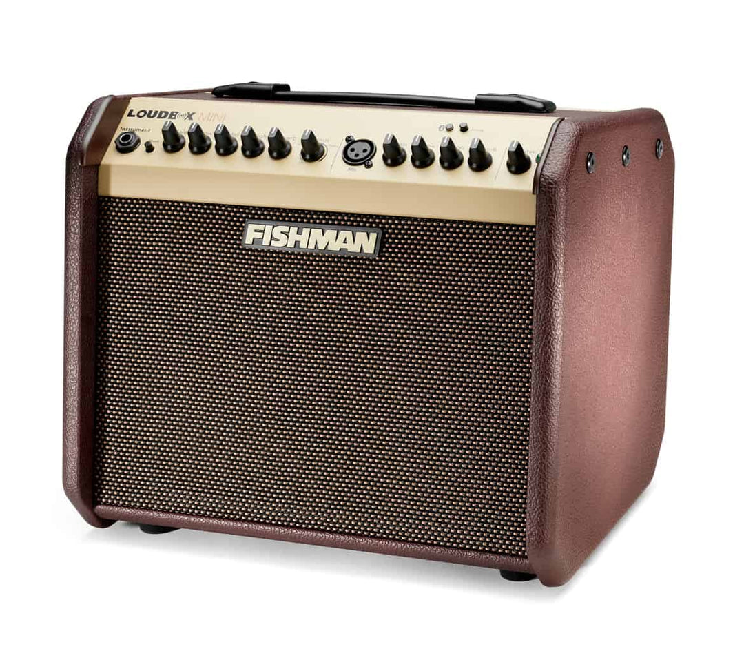 Fishman PRO-LBT-500 Loudbox Mini - 60 watts