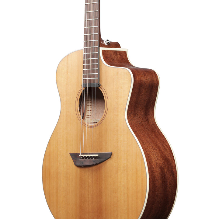 Ibanez Acoustic-Electric (Natural Satin Low Gloss) PA230E