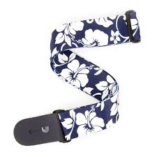 D'Addario P20S1503 - 2.0 GTR STP HIBISCUS - BLUE