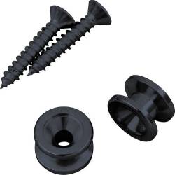 D'Addario PWEP102 - 2 PK SLD. BRS MTL ENDPN, BK