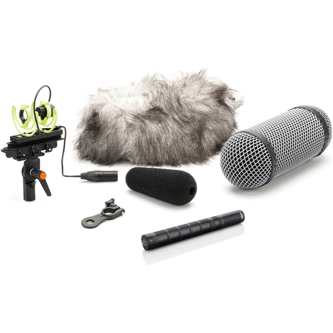 DPA Microphones 4017C-R Compact Shotgun Microphone with Rycote Windshield