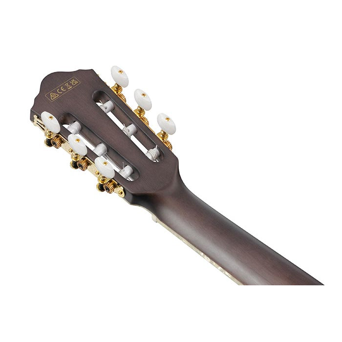 Ibanez Acoustic-Electric (Transparent Black Flat) TOD10N