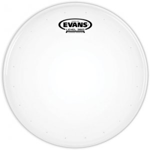 Evans B14DRY-B - 14'' GEN DRY CTD BK PK