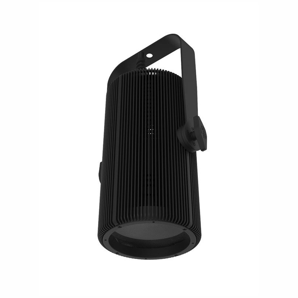 Chauvet Pro Ovation H-605FC LED Light (Black)