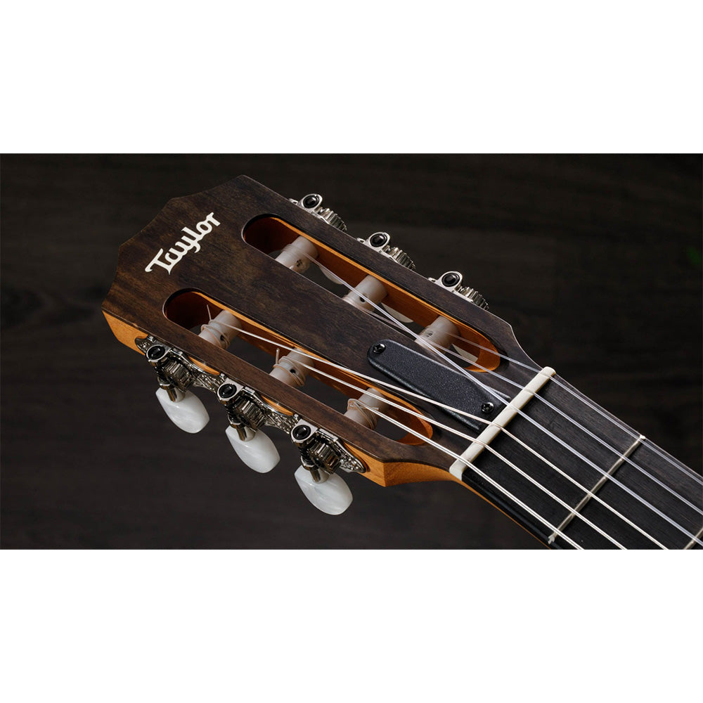 Taylor 214ce-N Nylon 6-String, Electric-Acoustic Guitar - Sitka Spruce Top