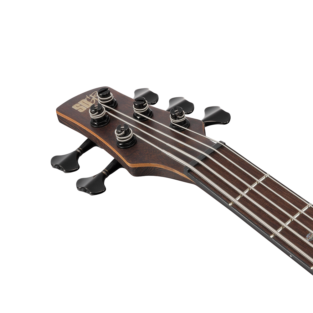 Ibanez SR Premium 5-String Electric Bass (Dual Mocha Burst Flat) SR1355BDUF