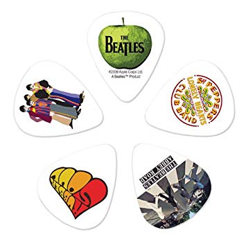 D'Addario 1CWH2-10B3 - 10 BEATLES-PICK-ALBUMS-THIN