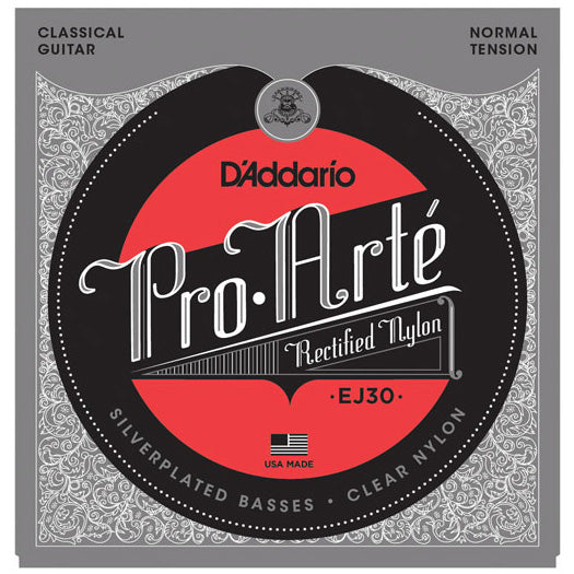 D'Addario EJ30 - SET CLASSICS RECT/SILVER NORM