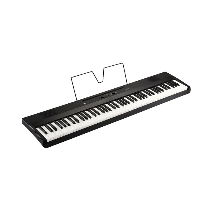 Korg L1 Liano 88 Key Digital Piano /w Kronos LS Action - Black