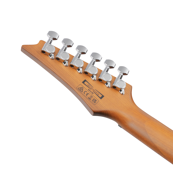 Ibanez GIO RG Electric Guitar