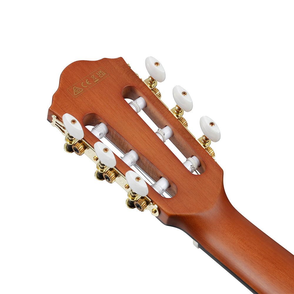 Ibanez Acoustic-Electric (Natural Flat) FRH10N