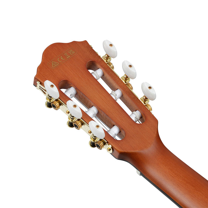 Ibanez Acoustic-Electric (Natural Flat) FRH10N
