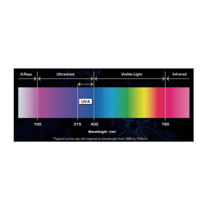 Antari DFX-IPW2000 33 x 1.9W UV LED Wash Fixture IP65 Rated
