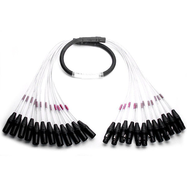 Digiflex DPR-12FX/12MX-100 - 100 Foot 12 Channel Cable -XLRM to XLRF Connectors