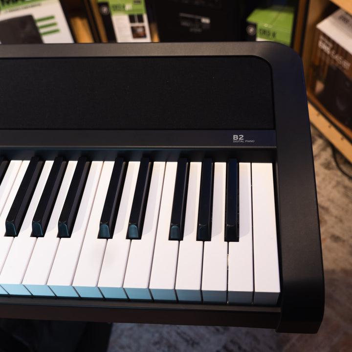 Korg B2 88-Key Digital Piano - Black (Open Box)