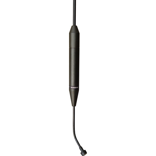 Earthworks C30/HC-B - Hanging High Definition Choir Microphone (Hypercardioid) (Black)