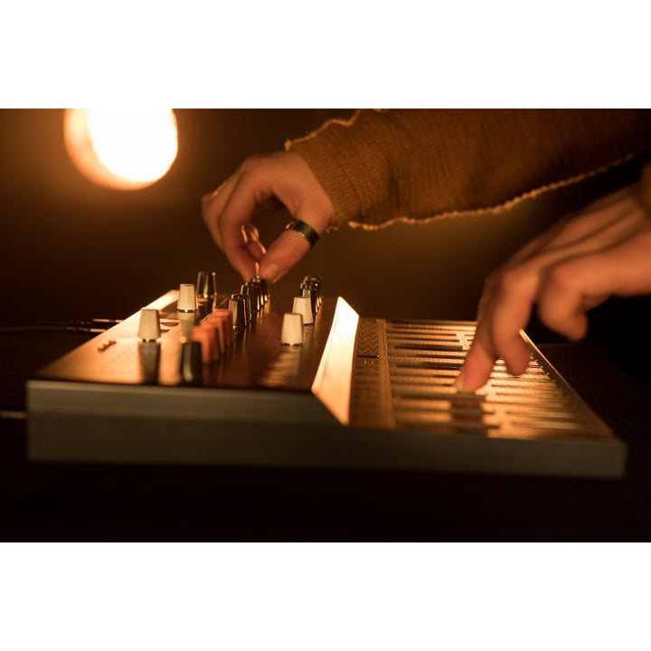 Arturia MicroFreak Experimental Hybrid Synthesizer