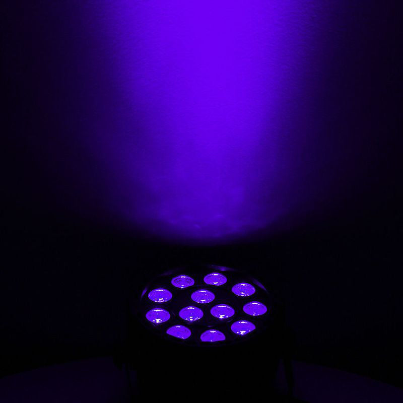 Eliminator Mini Par UV LED