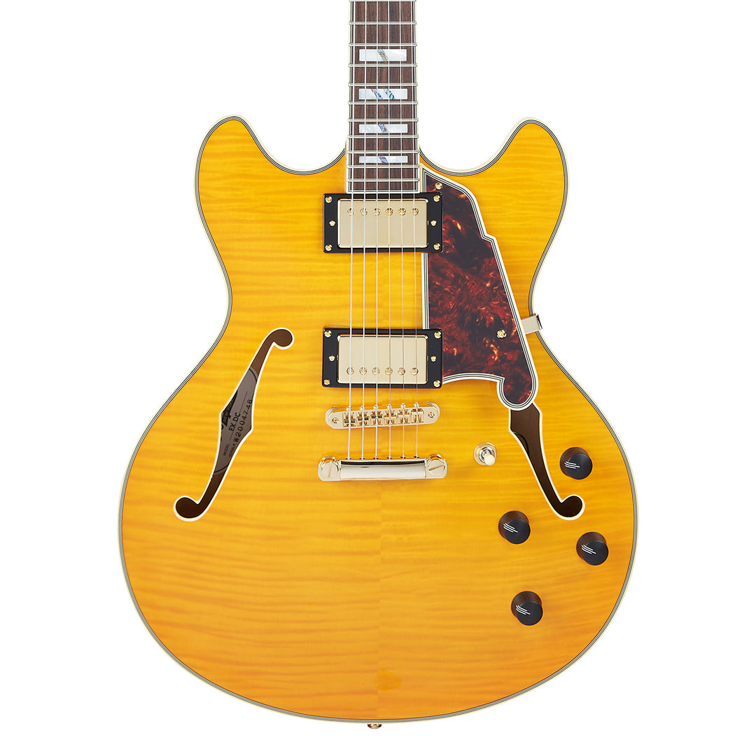D’Angelico Excel DC Electric Guitar