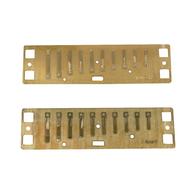 Lee Oskar 1910HRP-MIN-E-FLAT Natural Harmonic Reed Plate Key of Minor E Flat